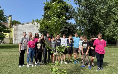OSMAŠI POSADILI DRVO – SIMBOLIČAN OPROŠTAJ