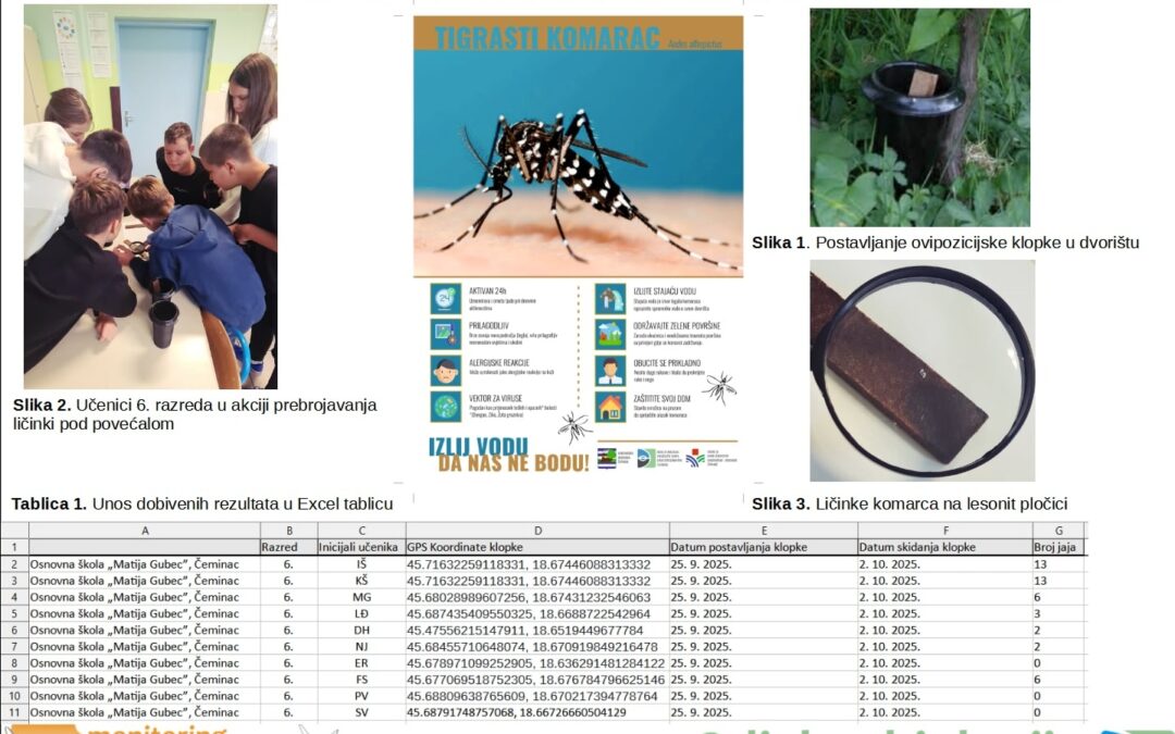 PROJEKT: „Izlij vodu da nas ne bodu!” – Naši učenici postali mali entomolozi i dali doprinos znanosti